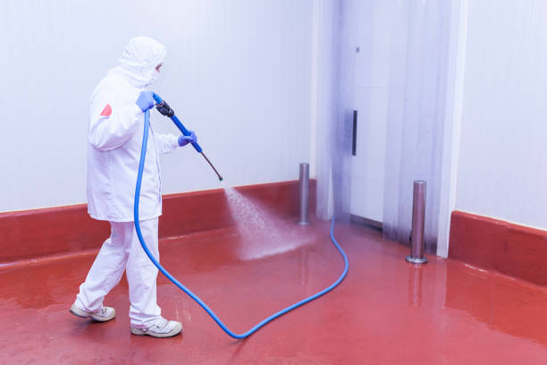 Best Parking Lot Cleaning in Falfurrias, TX