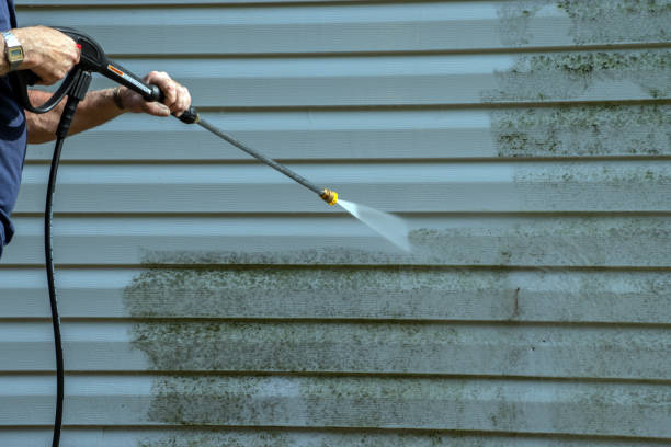 Best Soft Washing for Delicate Surfaces in Falfurrias, TX