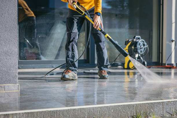 Best Roof Cleaning and Mildew Removal in Falfurrias, TX